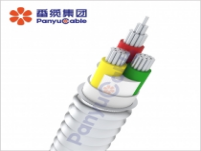 廣州番禺電纜：引領(lǐng)電纜選擇新標準